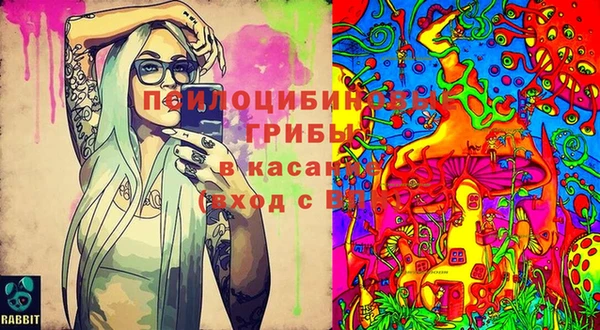 мдма Медвежьегорск