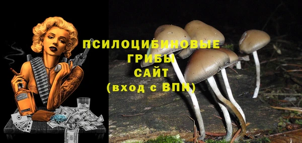 крисы Абинск