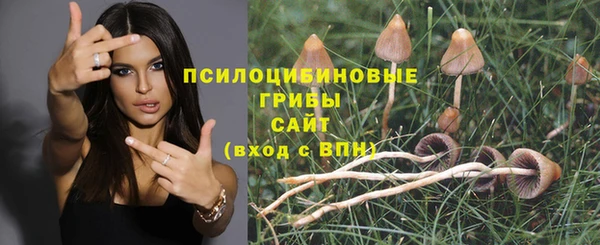 эйфоретик Абаза