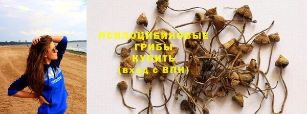 крисы Абинск